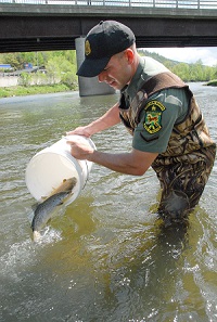 Vermont’s Trophy Trout Stocking for 2019 | Vermont Fish & Wildlife Department